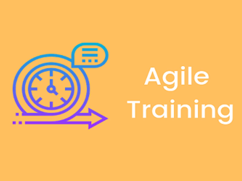 agile online training