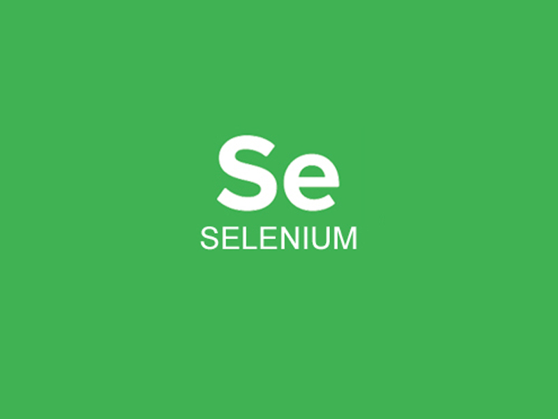 Selenim Online training